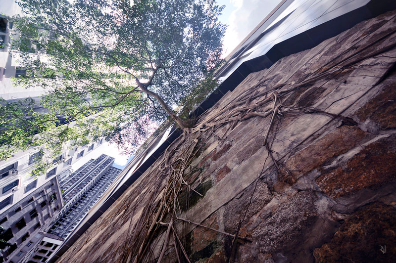 Illustration for article titled Stunning images of the endless buildings and skies of Hong Kong